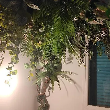Jungle Appartement Cannes