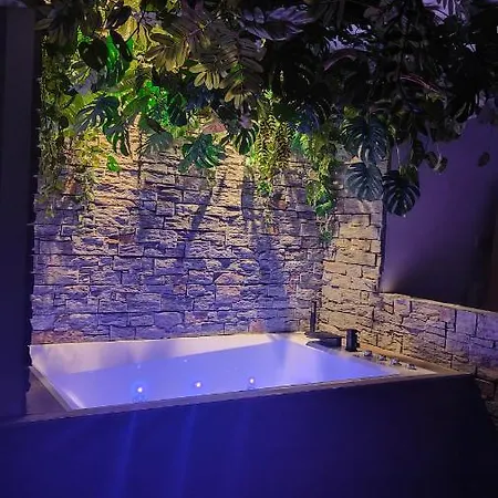 Apartment Jungle Cannes