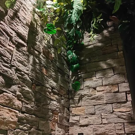 Apartment Jungle *