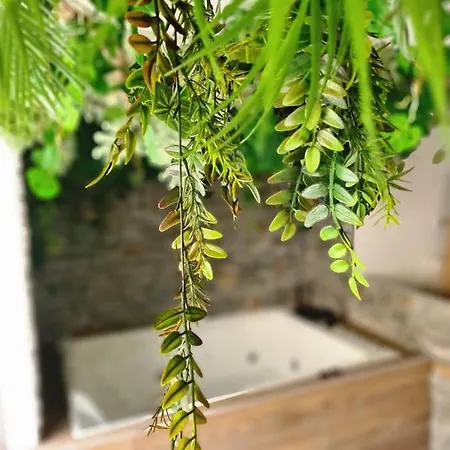 Jungle Apartment *