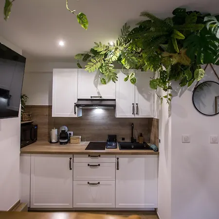 Apartment Jungle