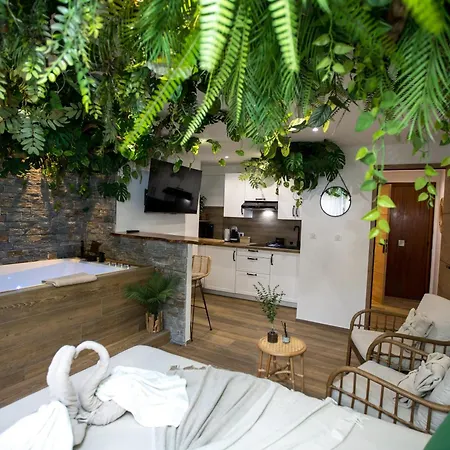 Jungle Cannes